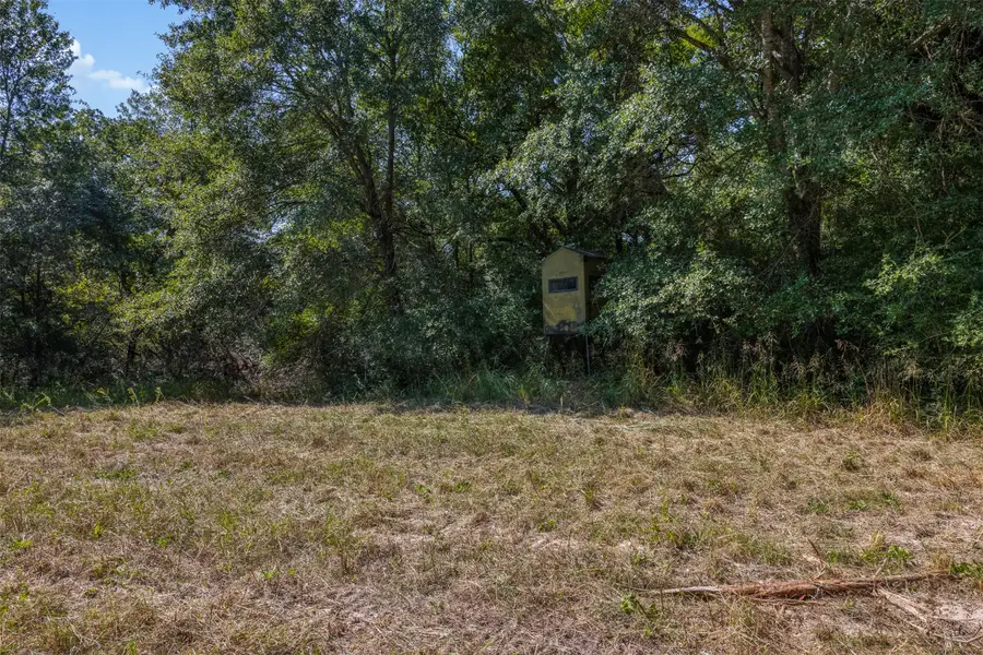 Tract 1 Farm To Market 1940, Franklin, TX 77856 - Image #2