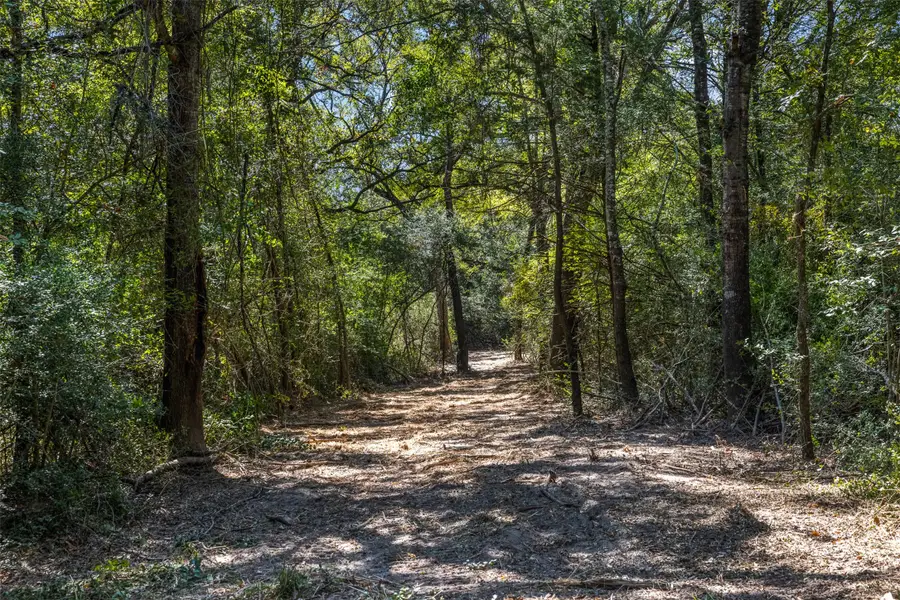 Tract 1 Farm To Market 1940, Franklin, TX 77856 - Image #3