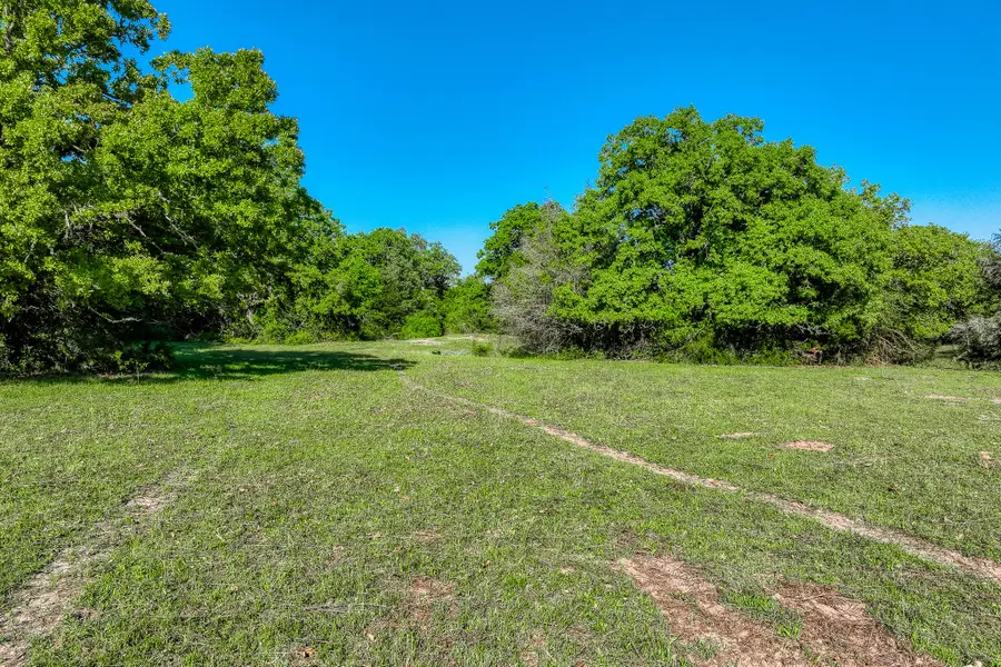 4519 County Road 120, Caldwell, TX 77836 - Image #3