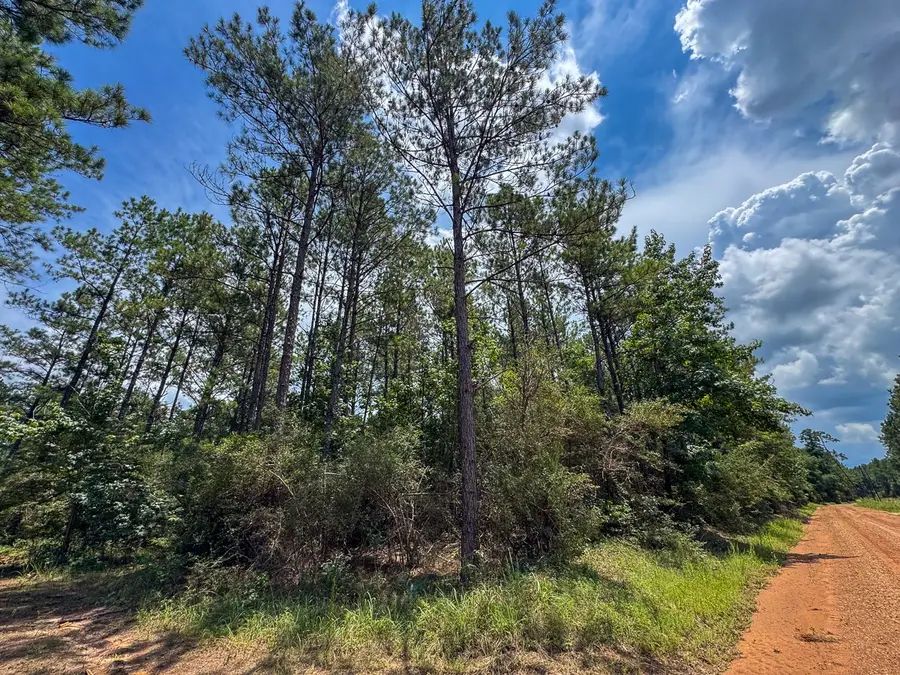 T-5 Benny Griffin Road, Livingston, TX 77351 - #3