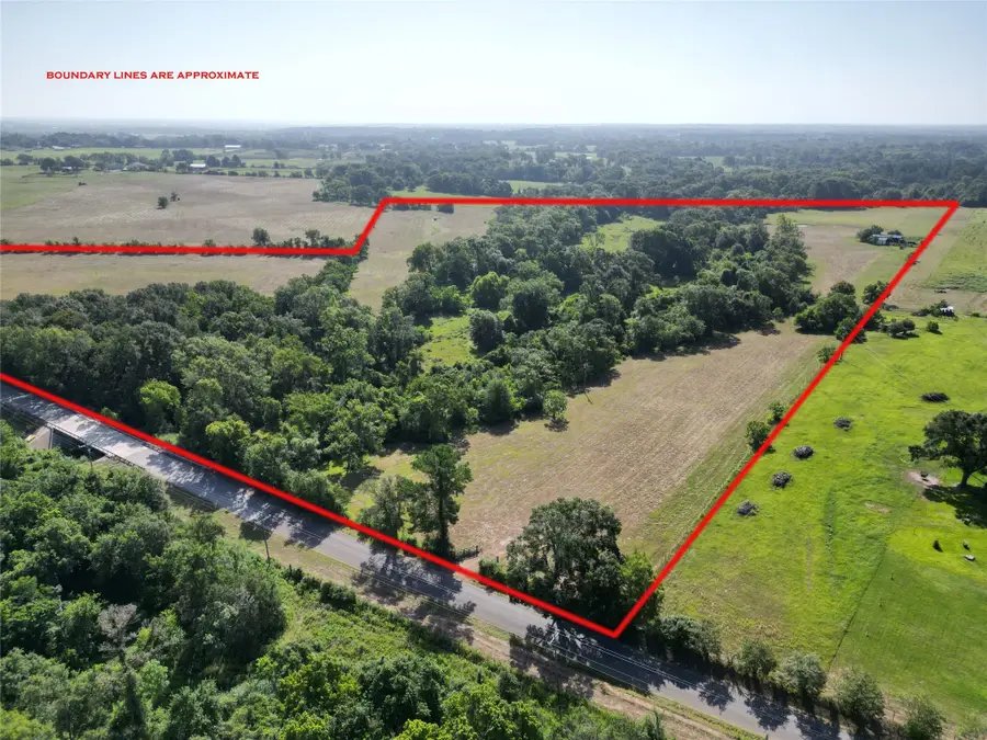 50.74 +/- Acres County Road 202, Plantersville, TX 77363 - Image #2