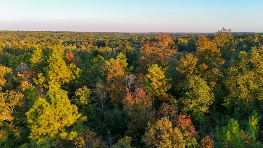TBD Farm To Market 1012, Newton, TX 75966 - #2