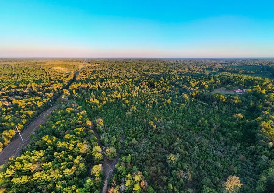 TBD Farm To Market 1012, Newton, TX 75966 - #3
