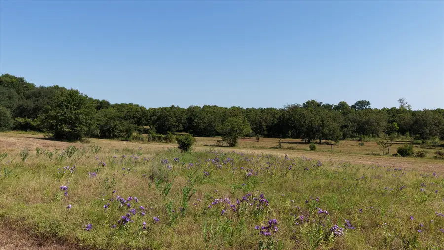 4790 Orchard Oaks Lane, Brenham, TX 77833 - Image #2