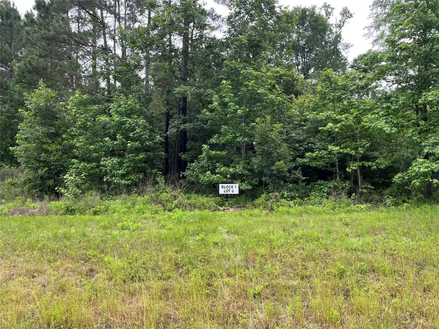 15841 Ridge Rock Road, Willis, TX 77378 - #2