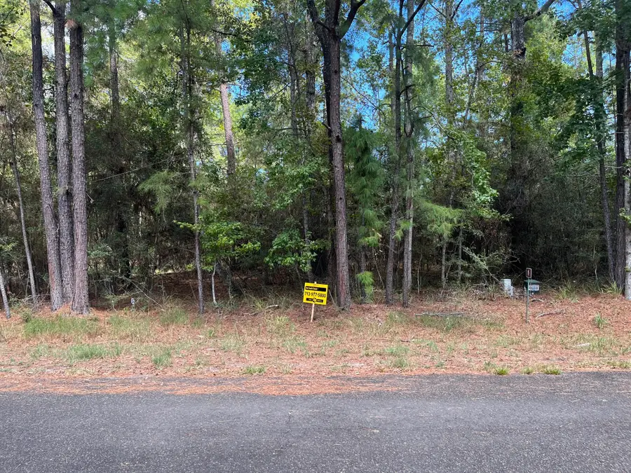 0 Pine Valley, Huntsville, TX 77320 - Image #2