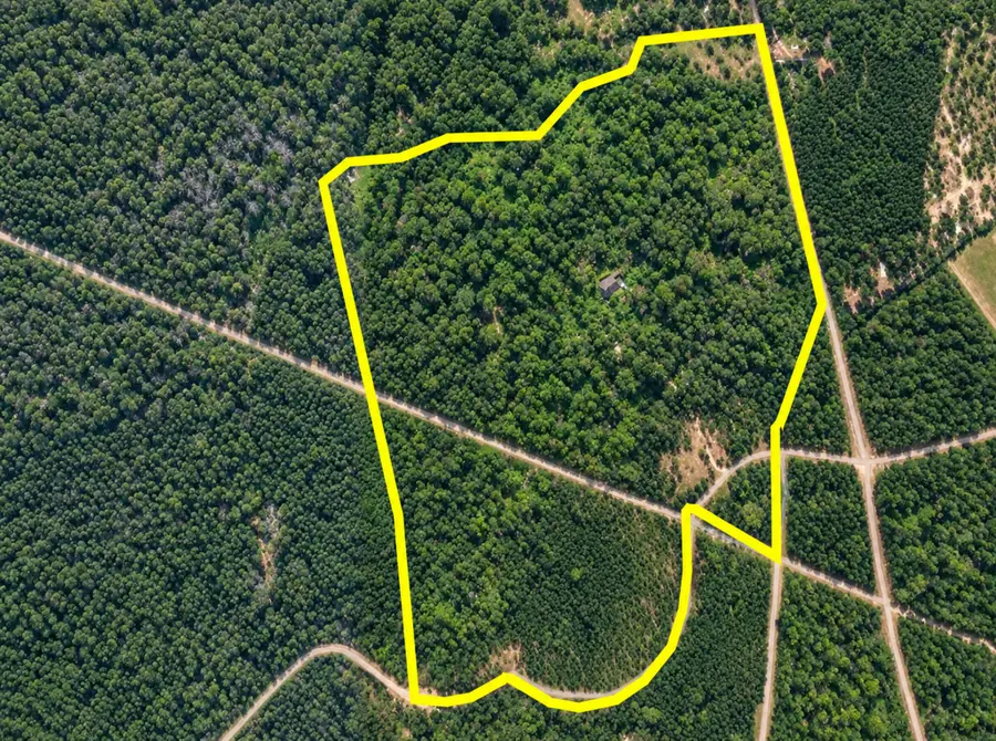 1701 Oak Ridge Road, Willis, TX 77378 - #2