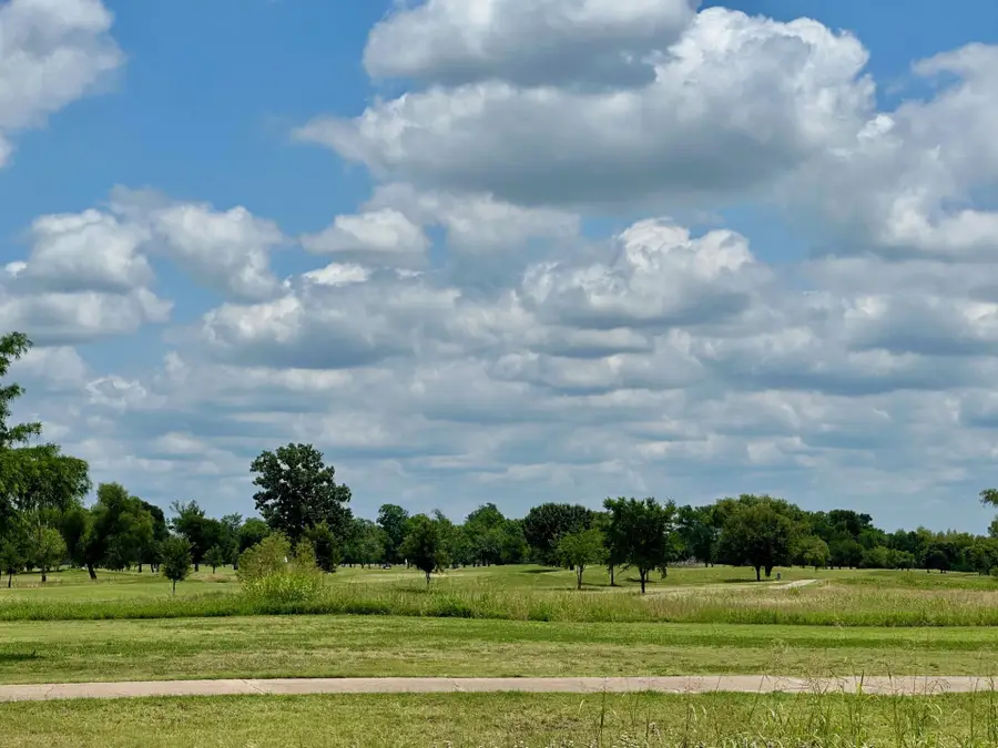 Lot 48 Back Nine Lane Lane, Navasota, TX 77868 - Image #3