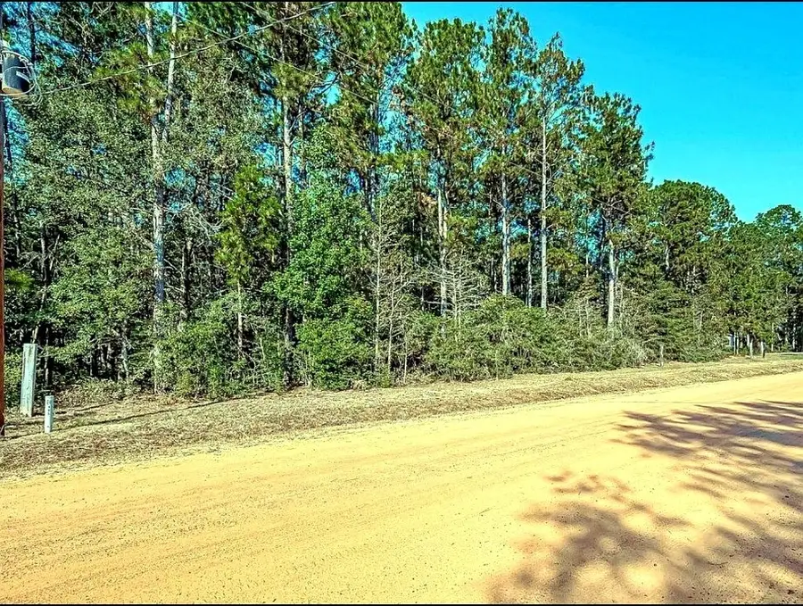 0 Oak Ridge Street, Cleveland, TX 77328 - #2