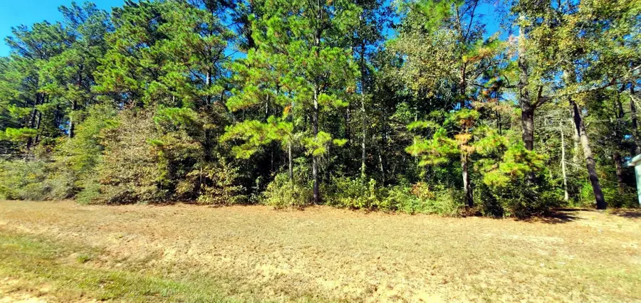 0 Oak Ridge Street, Cleveland, TX 77328 - #3