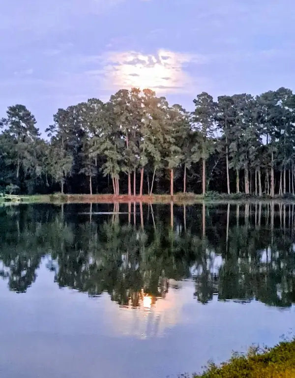 26420 Leisure Ln Lane, Magnolia, TX 77355