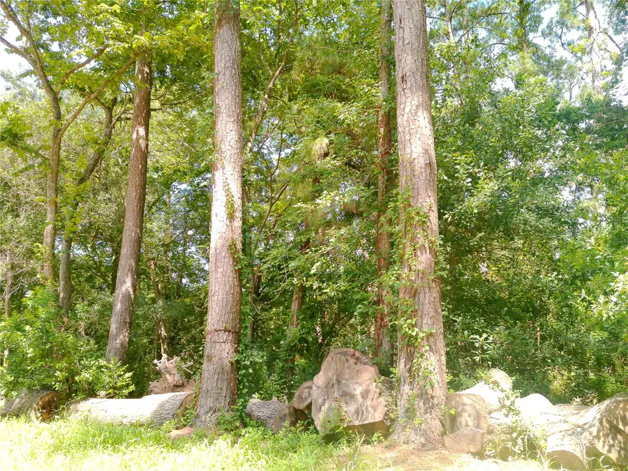 26420 Leisure Ln Lane, Magnolia, TX 77355 - Image #2