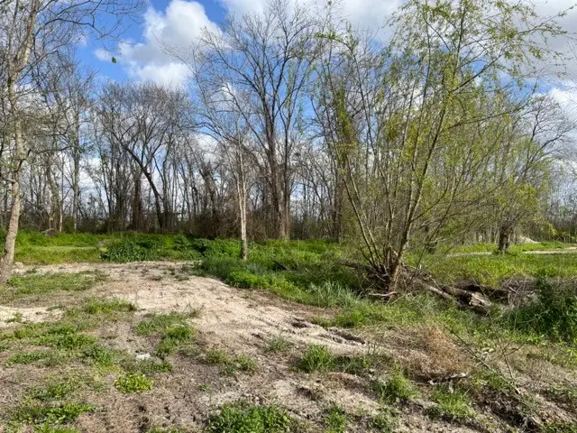 131 Mckeever Road, Rosharon, TX 77583 - Image #3