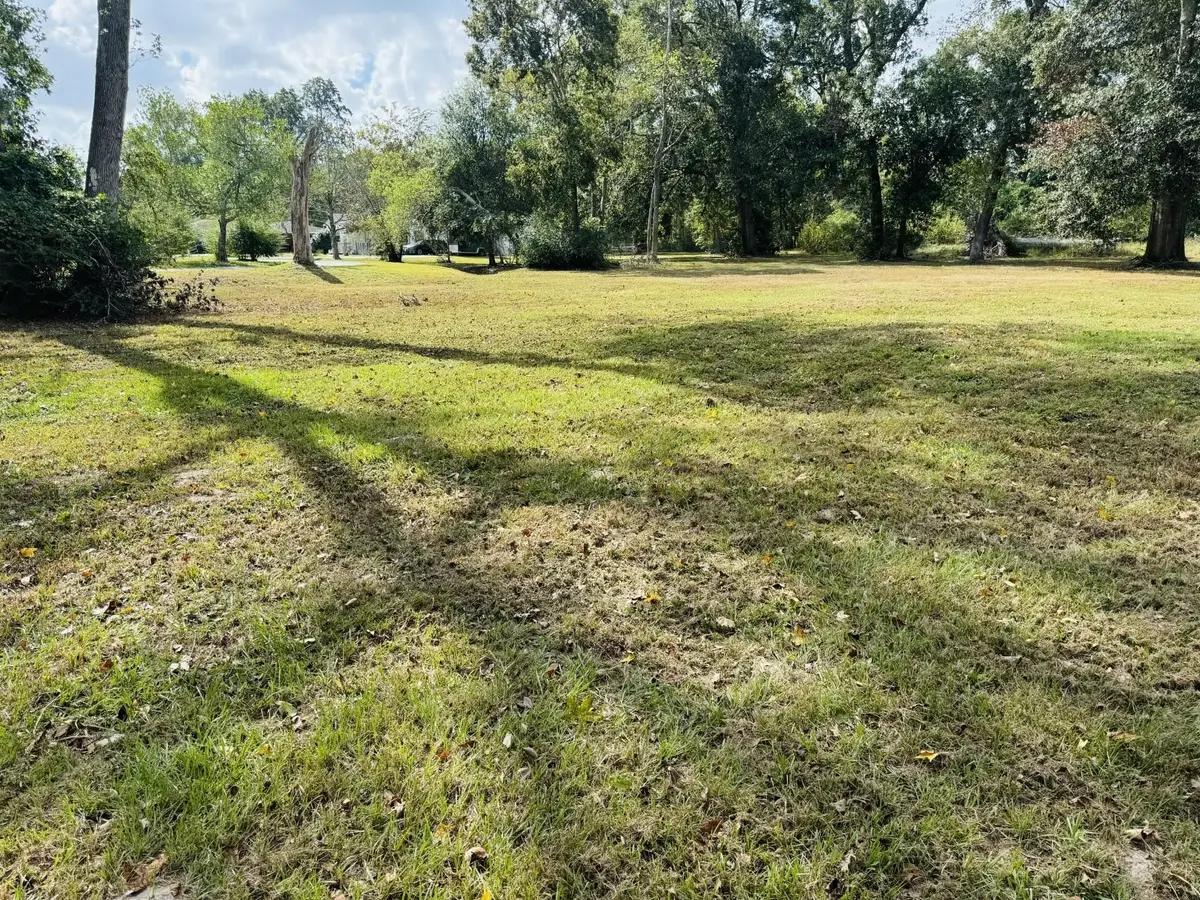 TBD Daisy, Dayton, TX 77535 - #1