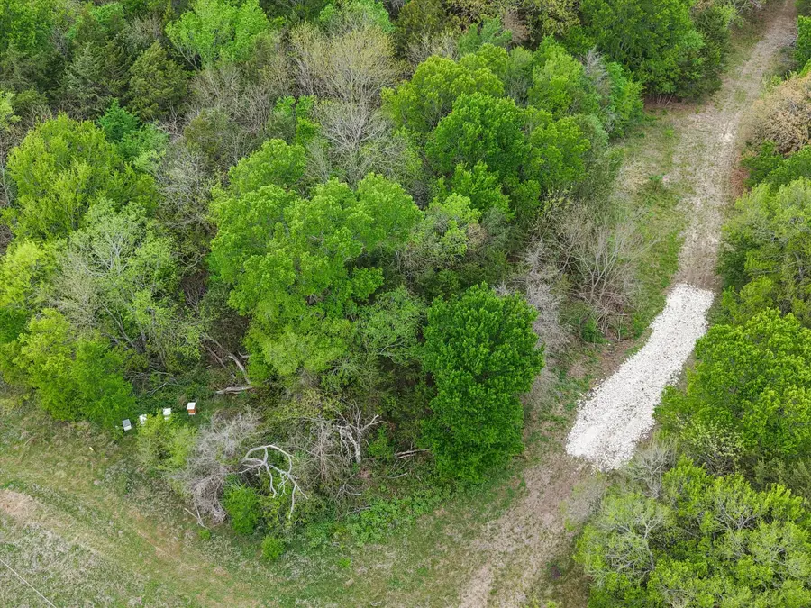 TBD Fm 709 S, Purdon, TX 76679 - #3