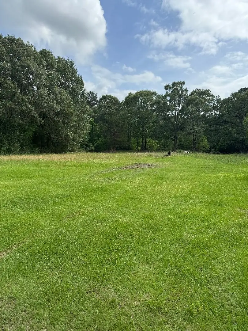 6370 Fm 1374 Road, New Waverly, TX 77358 - #2
