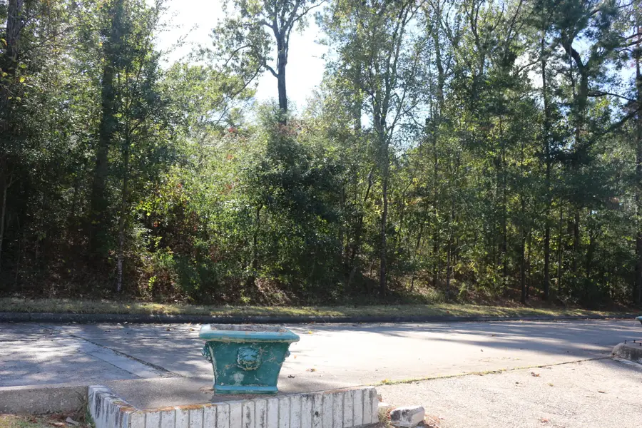 TBD Lake Oaks Boulevard, Coldspring, TX 77331 - Image #3