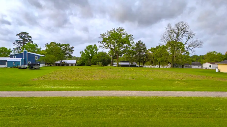 TBD Liendo Drive, Trinity, TX 75862 - #2