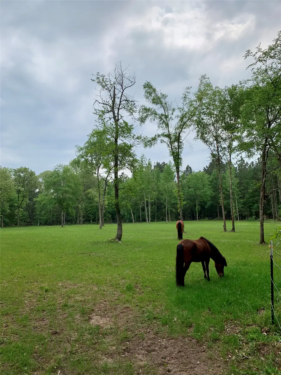 24953 Powers Court, Montgomery, TX 77316 - #2