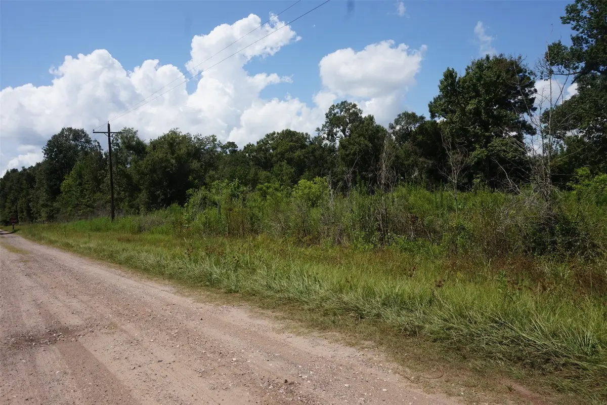 20130 Elm Street, New Caney, TX 77357 - #1