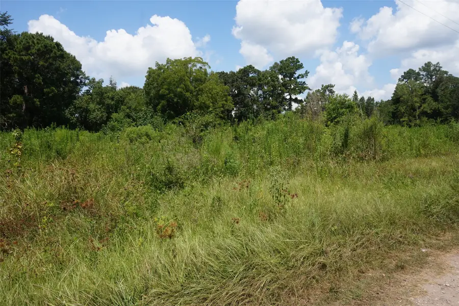 20130 Elm Street, New Caney, TX 77357 - #2