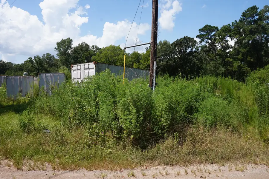 20130 Elm Street, New Caney, TX 77357 - #3