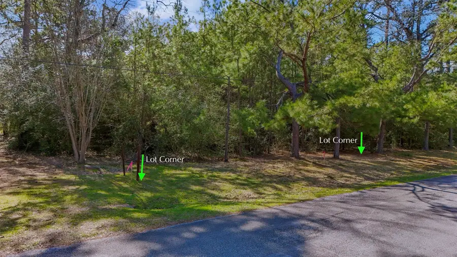 15245 Shady Oaks Drive, Stagecoach, TX 77355 - Image #2