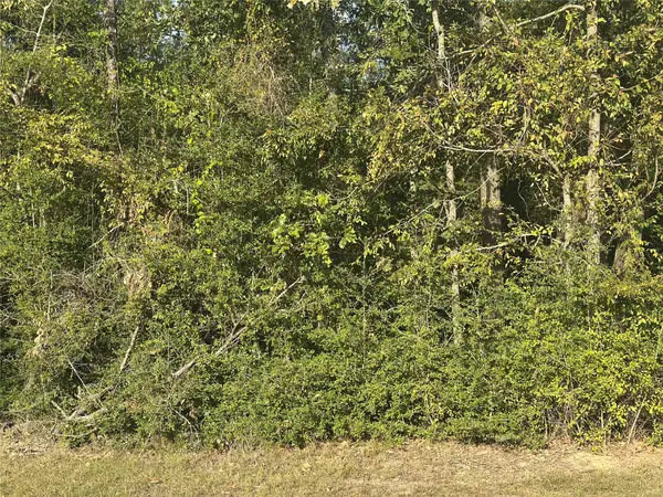 0 Magnolia Lane, Onalaska, TX 77360