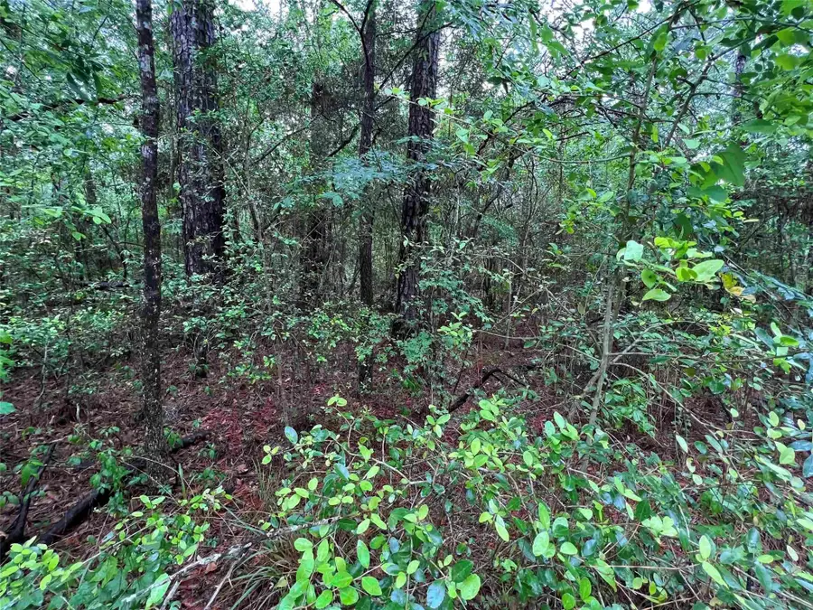 002 Parkside, Brookeland, TX 75931 - Image #2