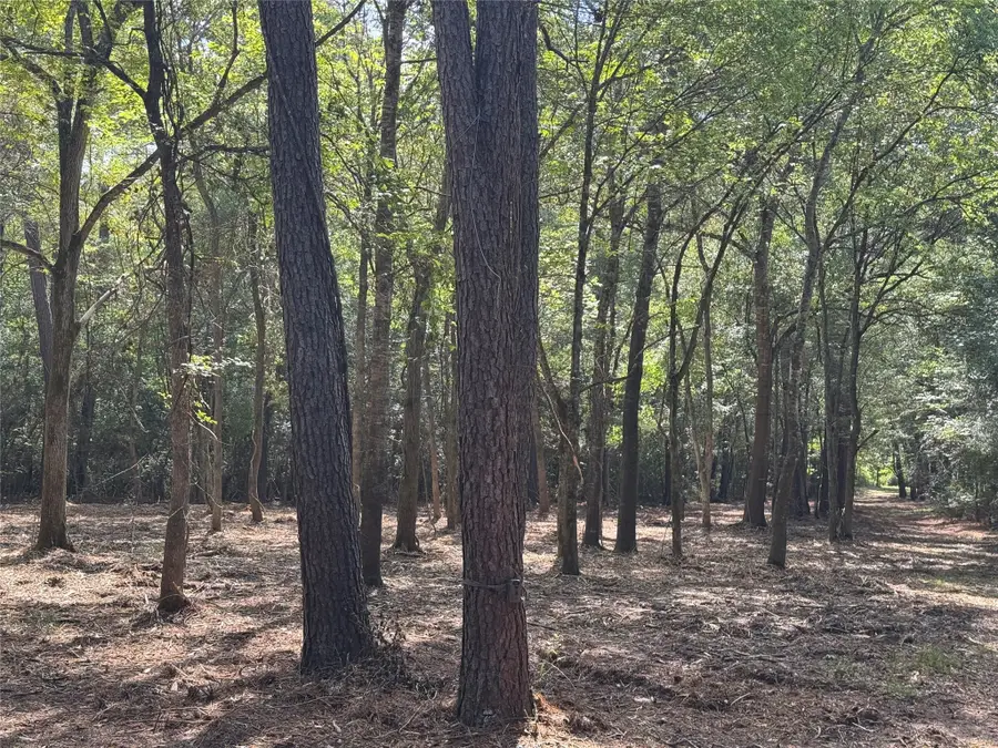 17 AC Lone Star Parkway, Montgomery, TX 77356 - #3
