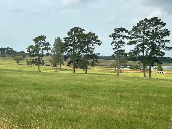 2622 Lakeland Drive, Hillister, TX 77624