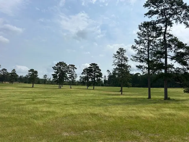 2622 Lakeland Drive, Hillister, TX 77624 - Image #3