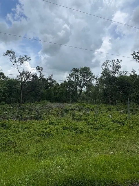 0 M, West Columbia, TX 77486 - Image #1