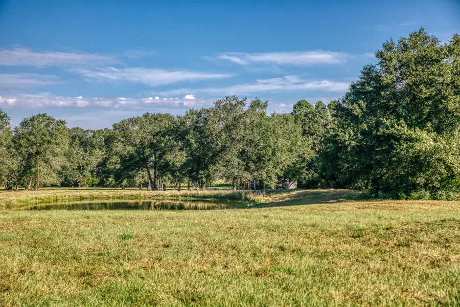 7846 County Road 227, Bedias, TX 77831 - #2