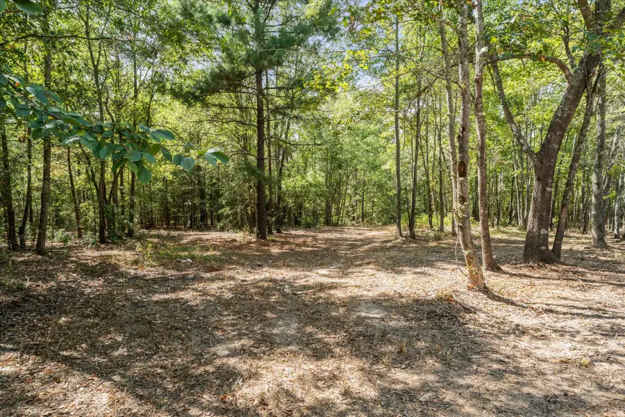 355 Cr 3301, Omaha, TX 75455 - #3