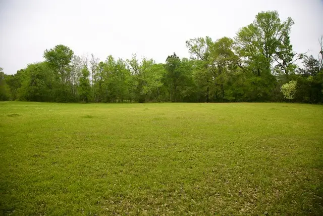 185 Hearne Road, Corrigan, TX 75939 - Image #3