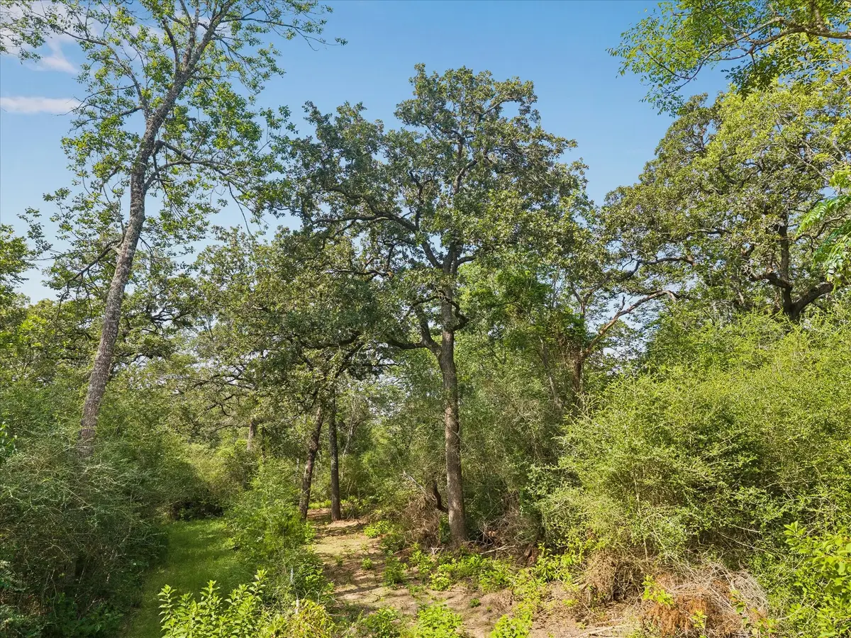 0002 Highway 159 W, Bellville, TX 77418 - #1