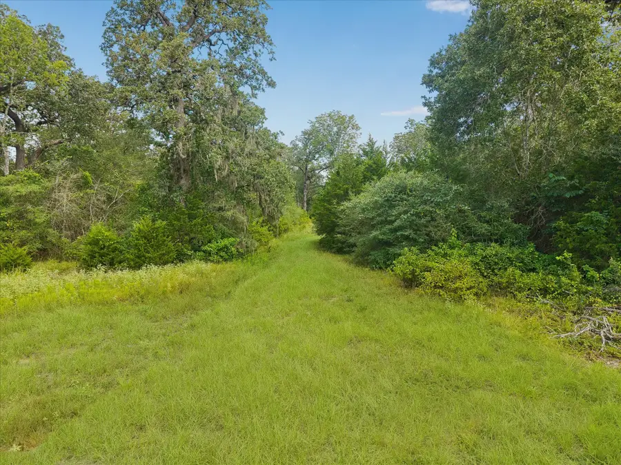 0002 Highway 159 W, Bellville, TX 77418 - #3