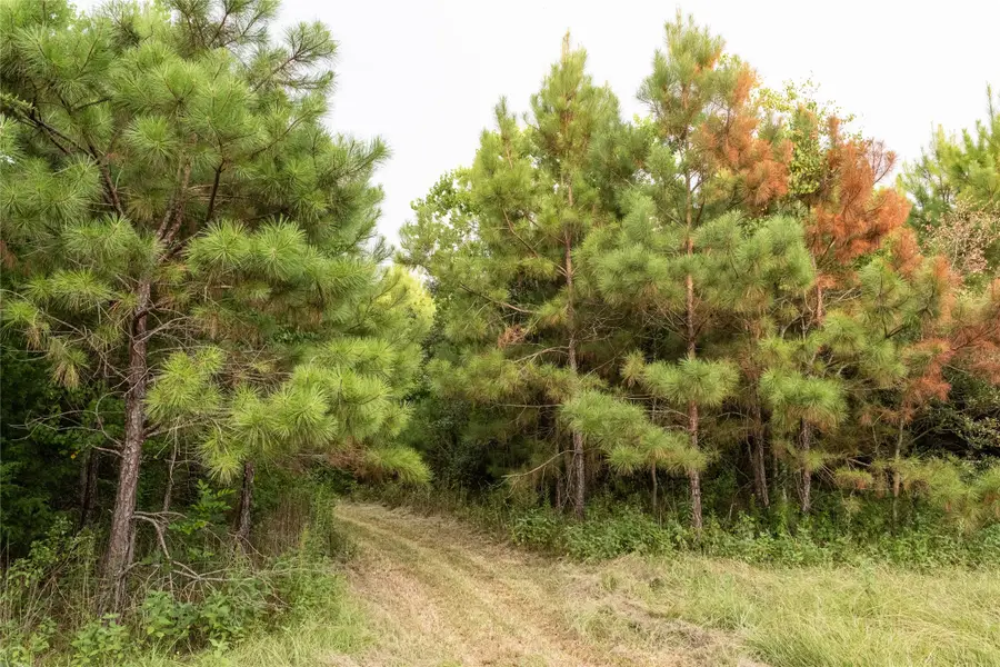 TBD Barrow White Road, Anahuac, TX 77514 - Image #3