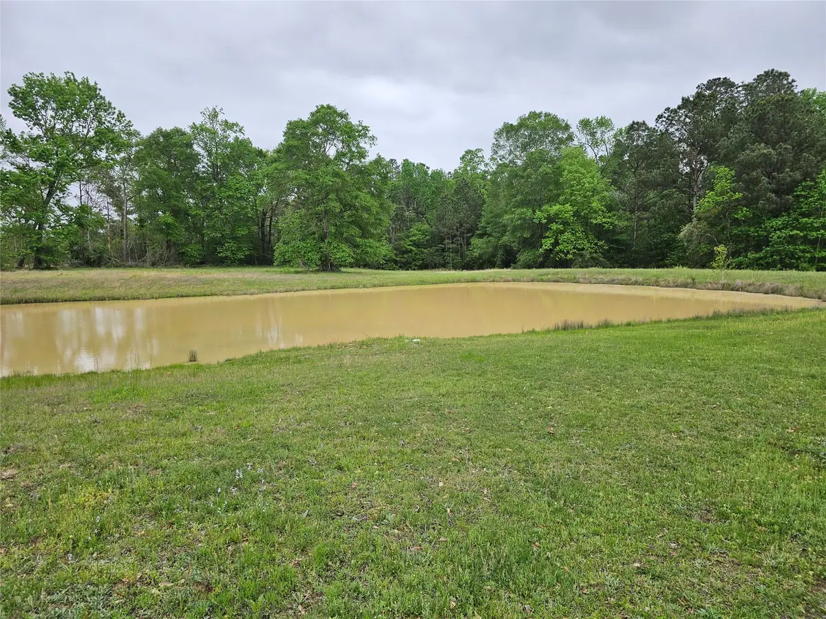 15784 Tree Monkey Rd, Conroe, TX 77303 - Image #1