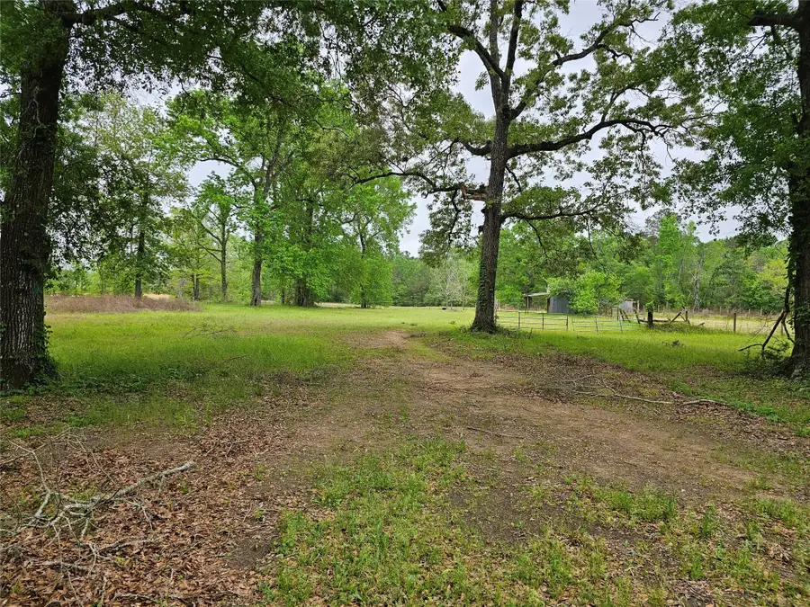 15784 Tree Monkey Rd, Conroe, TX 77303 - Image #2
