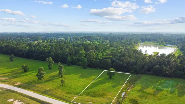 2040 Stallion Lakes Avenue, Hockley, TX 77447