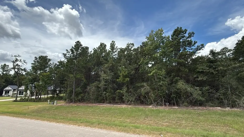 7621 Trinity Pines Dr, Montgomery, TX 77316 - #1