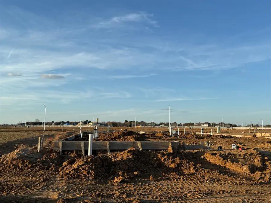 29014 Fig Vine Drive, Waller, TX 77484 - #2