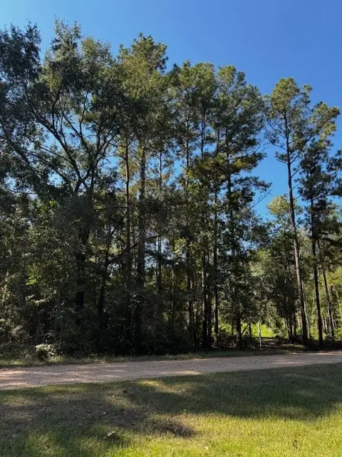 000 County Road 2175, Shepherd, TX 77371 - Image #1