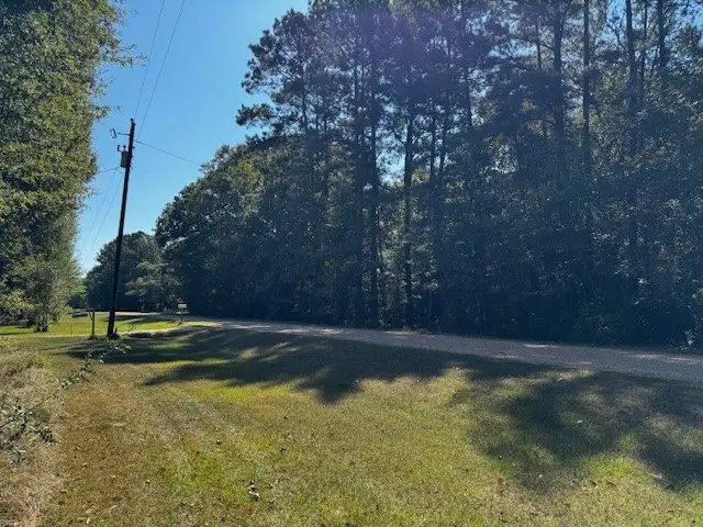 000 County Road 2175, Shepherd, TX 77371 - Image #2