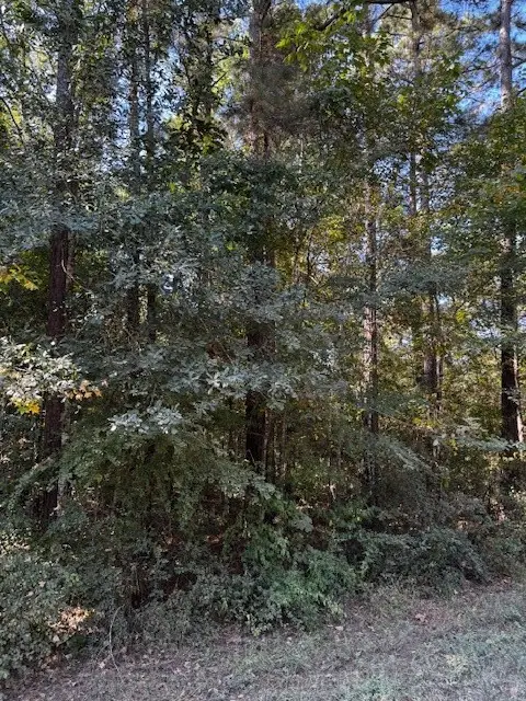 000 County Road 2175, Shepherd, TX 77371 - Image #3