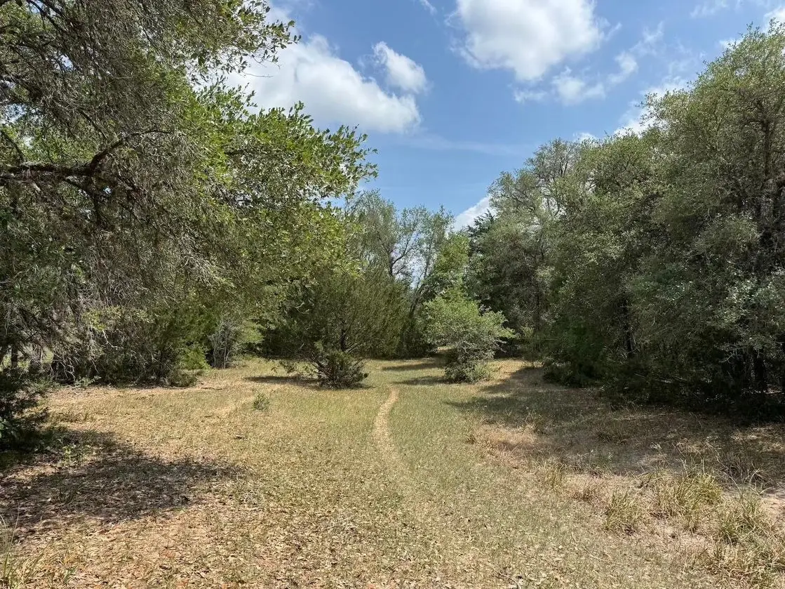 TBD County Road 122, Hallettsville, TX 77964 - Image #1
