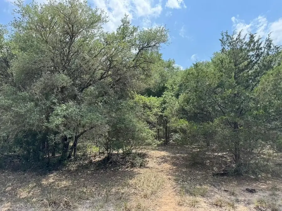 TBD County Road 122, Hallettsville, TX 77964 - Image #2