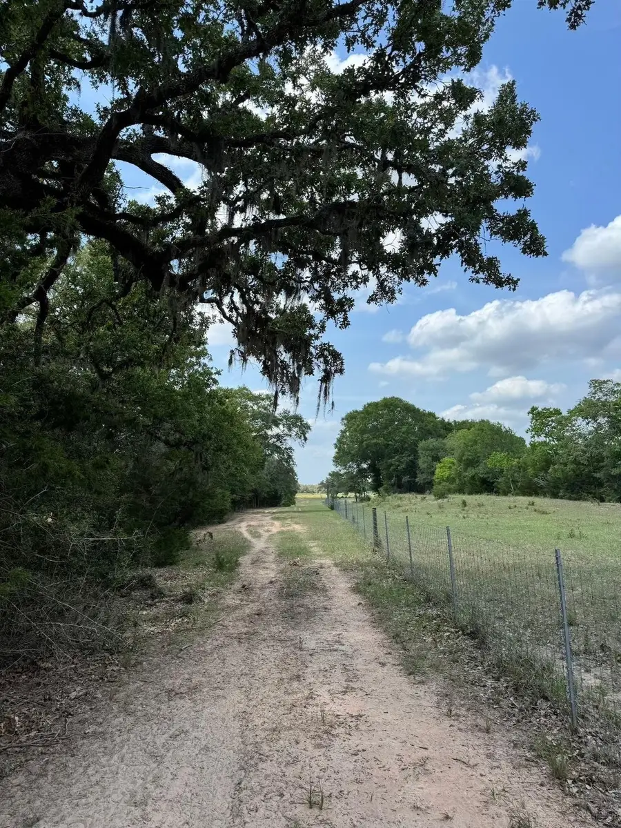TBD County Road 122, Hallettsville, TX 77964 - Image #3